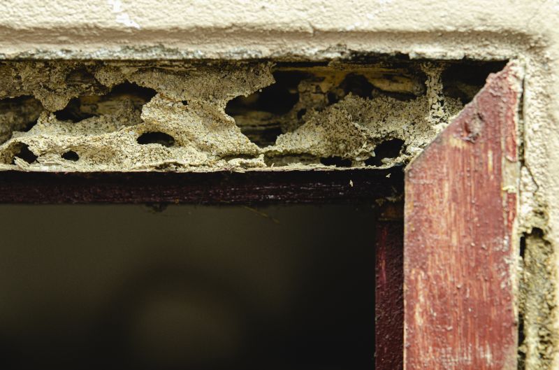 Wood Rot And Moisture Damage In Outdoor Structures